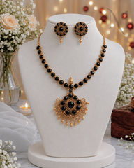 Budgeted Attigai Set