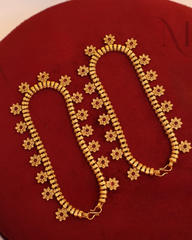 Rakthapriya Payal