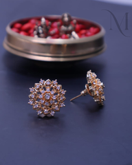 Aarini Diamond Replica Earrings ✨